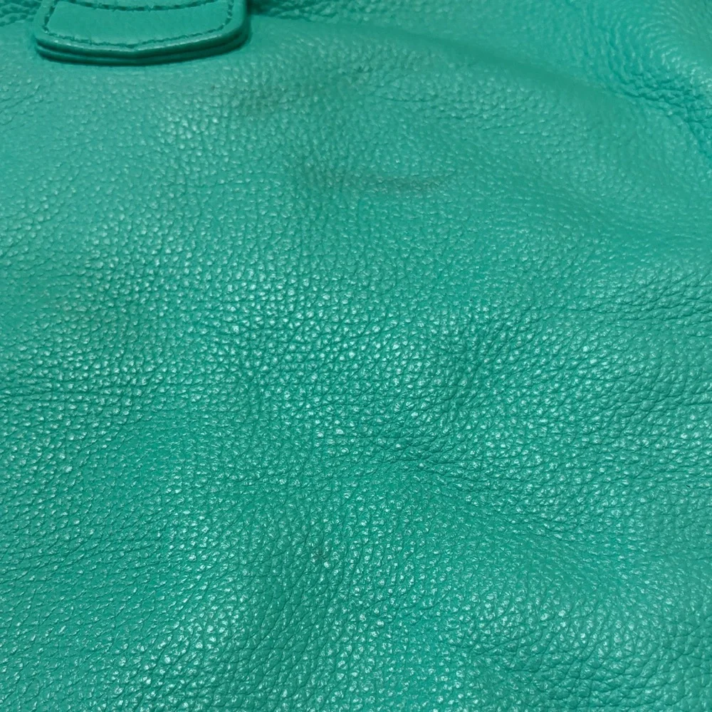 Dooney & Bourke Turquoise Leather Shoulder Bag with Gold Hardware - Picture 12 of 17